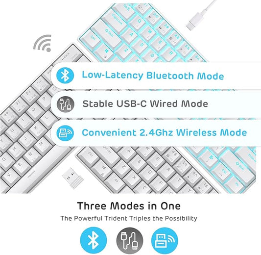 RK ROYAL KLUDGE RK61 Wireless 60% Triple Mode BT5.0/2.4G/USB-C Mechanical Keyboard, 61 Keys Wireless Mechanical Keyboard, Compact Gaming Keyboard with Software (Hot Swappable Red Switch, White)