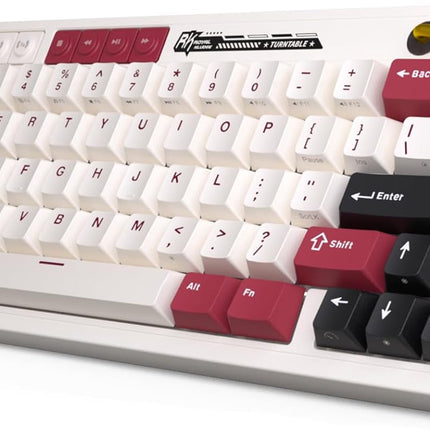 RK ROYAL KLUDGE M65 Wireless Mechanical Keyboard with Volume Knob, 60%
