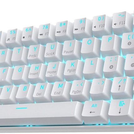 RK ROYAL KLUDGE RK61 Wireless (White)
