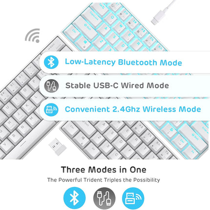 RK ROYAL KLUDGE RK61 Wireless (White)