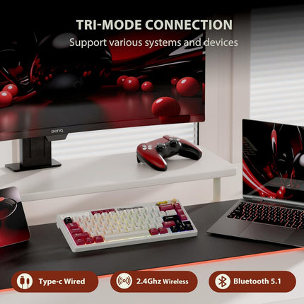 RK ROYAL KLUDGE M65 Wireless Mechanical Keyboard with Volume Knob, 60%